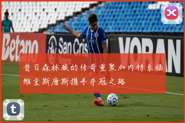 昔日森林狼的传奇重聚加内特乐福维金斯唐斯携手夺冠之路