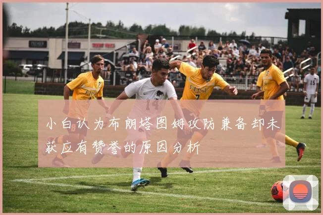 小白认为布朗塔图姆攻防兼备却未获应有赞誉的原因分析